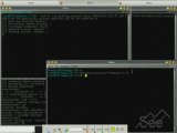 [Amazing] Hacking SSH Tunneling Exploit