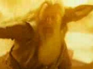 Harry Potter Et Le Prince de Sang-Mêlé en Français