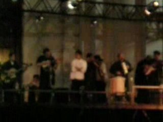 Xolot carbonero -torito pinto