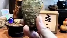 My favorite bonsai🤩