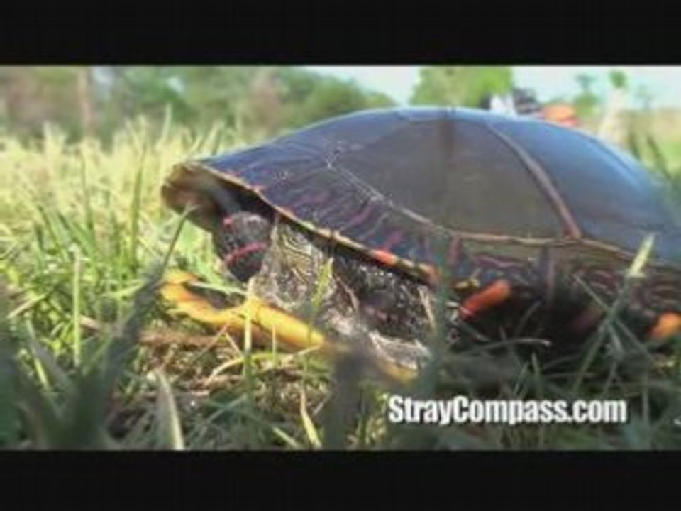 Biking Across NY: 2 Seneca Falls to Syracuse