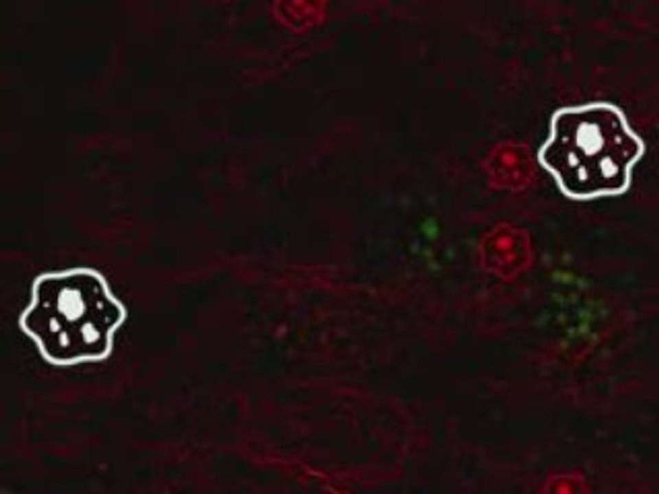 AmoebaClassStruggleGameplay