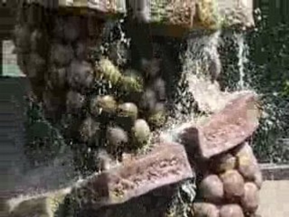 Weinbrunnen in Mainz-Kostheim