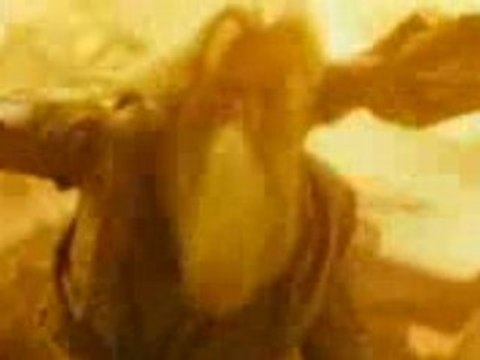 Harry potter le prince des sang melee vf ba en francais