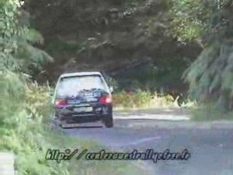 Rallye de Thiviers 2008 - Laurent SURVILLE Le Golio 01