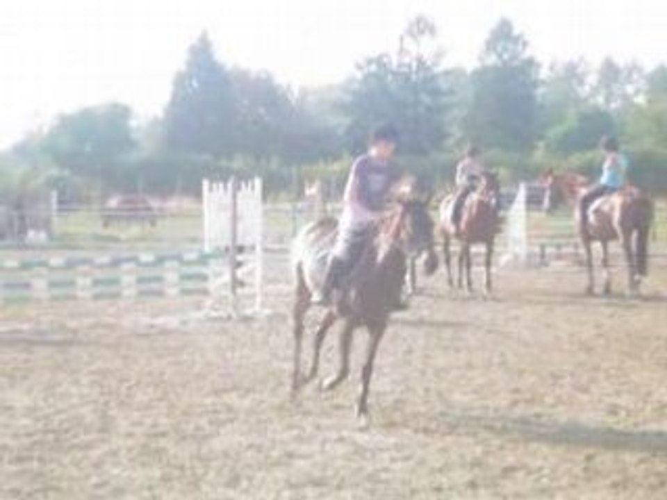 Quibelle et moi saut 30/07/08 Cours 6/7