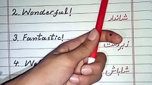 Daily Use English Sentences With Urdu Translation