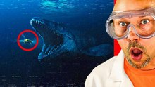 Créatures marines les plus incroyables filmées sur le vif