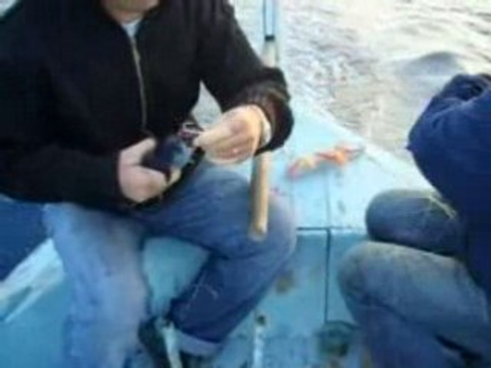 Alanya Balık  Avı www.baliksevdam.com