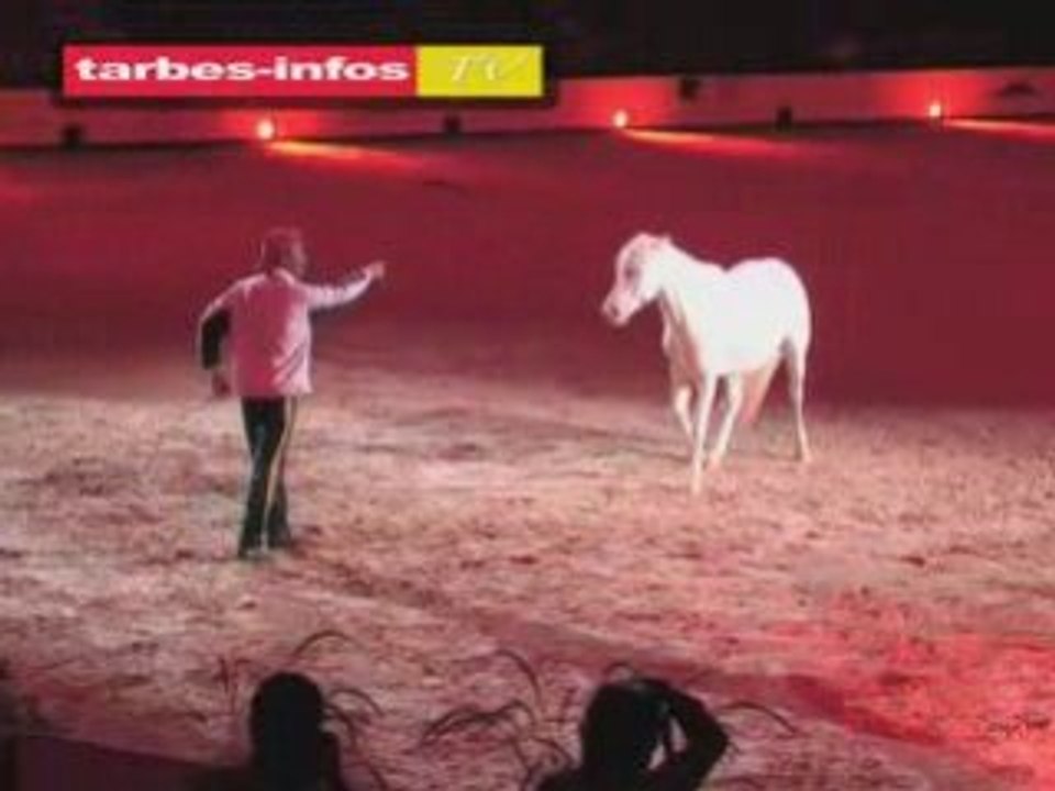 « la nuit des créations » d’Equestria 2008