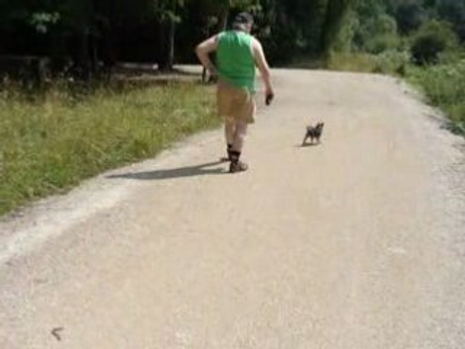 L'adorable Coquin