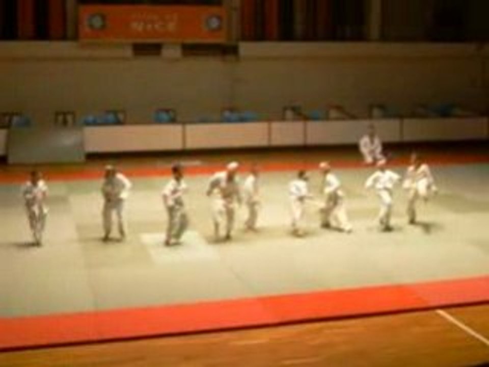 démonstration taekwondo