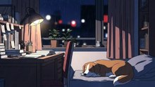 Sommeil Profond _ Musique Douce & Lofi avec un Ami à Quatre Pattes 🐾