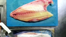 hamachi
