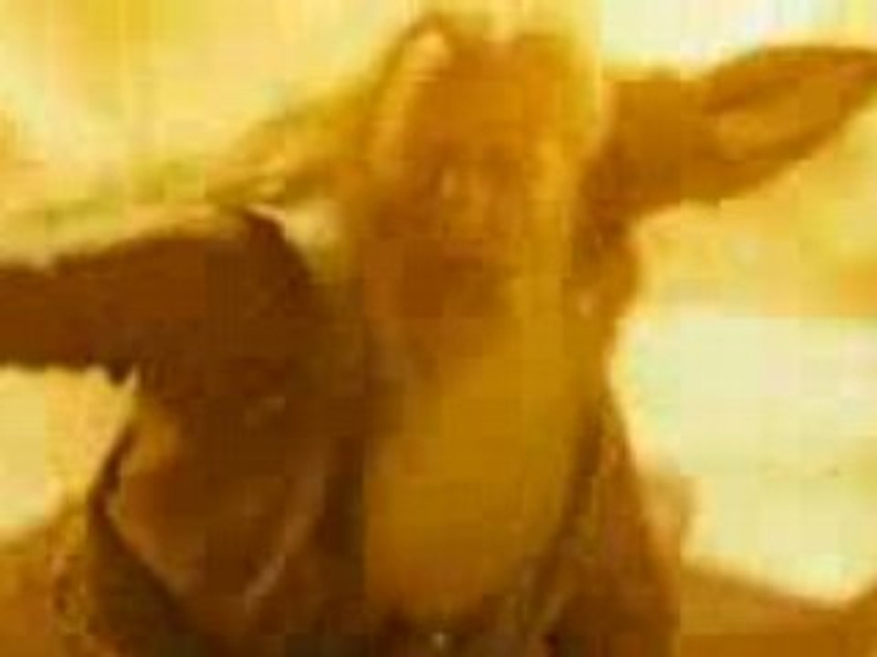 1ere bande anonce de Harry Potter - Prince De Sang-Mélé