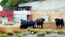Salamanca - Sorteo 13 de septiembre