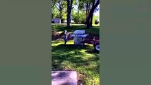Funniest Reactions Caught On Camera 🤣  Try Not To Laugh _8 [480p]