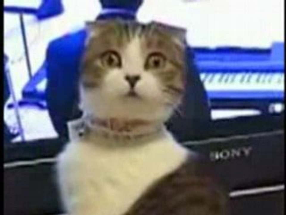 Chat-dramatique