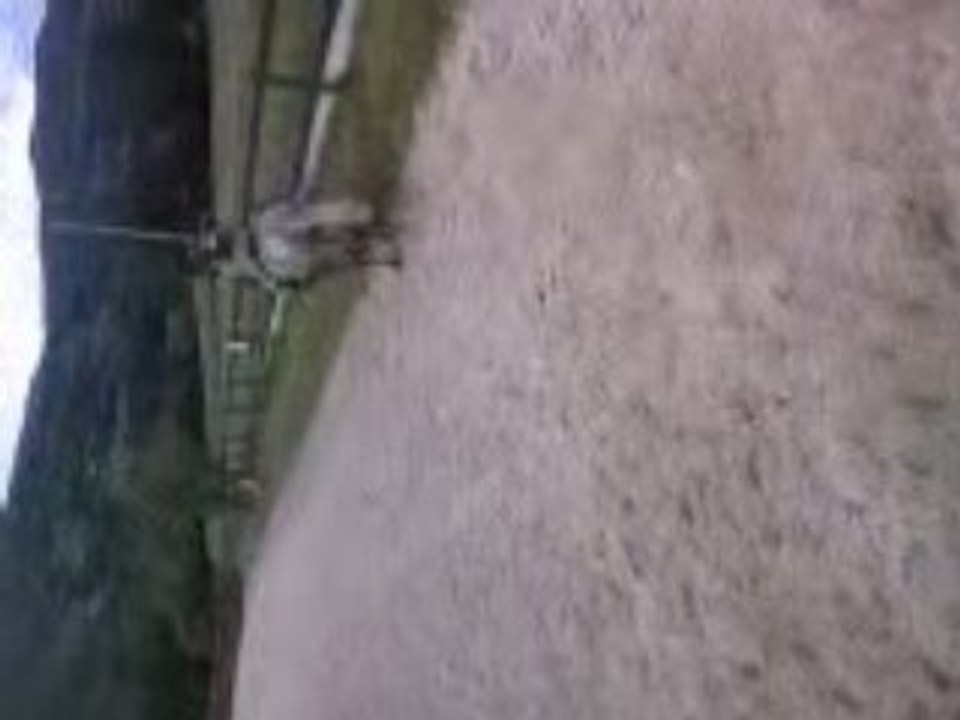 Vidéo0004