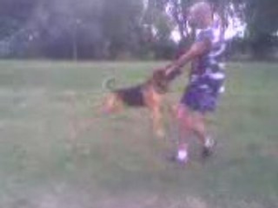 Lancer de chien /rok