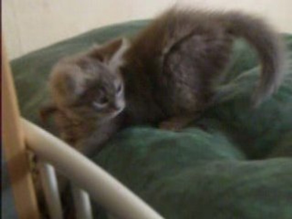 ♥ Fanny ♥ Fanny ♥