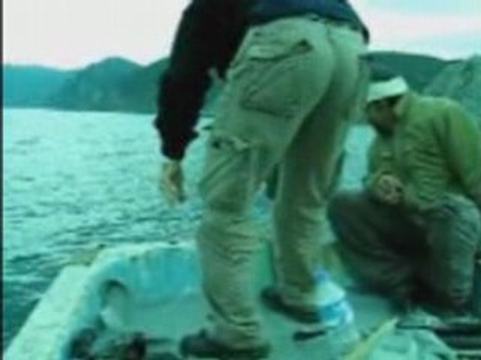 Saros 11 şubat. www.baliksevdam.com