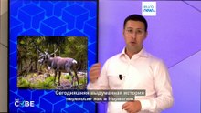 Вызывают ли ветряные турбины уродства и болезни  у животных?