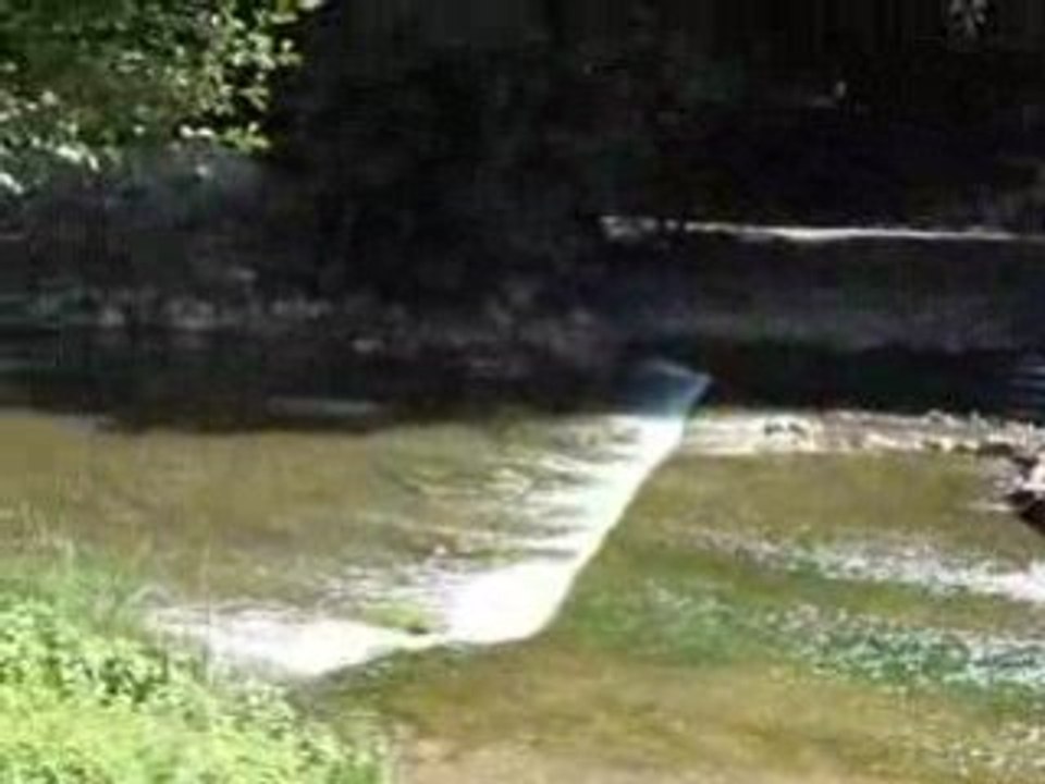 Le terrain de camping de Lusignan (5)