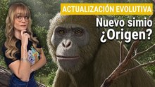 El hallazgo de un simio en Egipto reescribe la historia