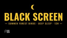 Bird Sounds for Sleep · Summer Forest Overnight Recording