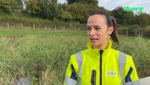 Idélux inaugure une nouvelle station d'épuration à Sommethonne