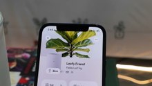 LeafyPod, il vaso connesso e autonomo
