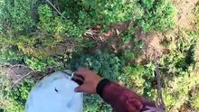 I Tried REAL Wild Forest Honey… WOW!