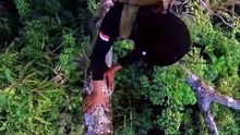 We Found a Hidden Honey Treasure in the Jungle!