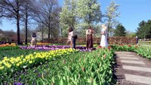 Keukenhof Gardens Spring Tour Holland's Magical Flower Paradise