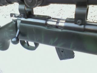 Norinco JW15 customisé 22lr