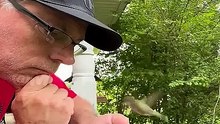 Hilarious Bird with Major Trust Issues 😂 #fyp #foryou #funny #shorts #fypシ
