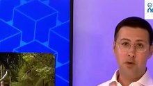 «Οι ανεμογεννήτριες προκαλούν δυσμορφίες στα ζώα»: αλήθεια ή ψέμα