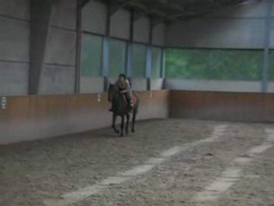 CIMG1409