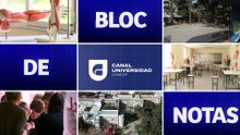 Un grupo de investigadores trabaja sobre una variedad de crustáceos del puerto de Mar del  Plata