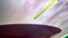 How A Hummingbird's Tongue Works