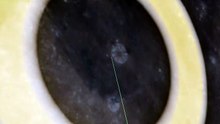 Did Astronauts Put Reflectors On The Moon.