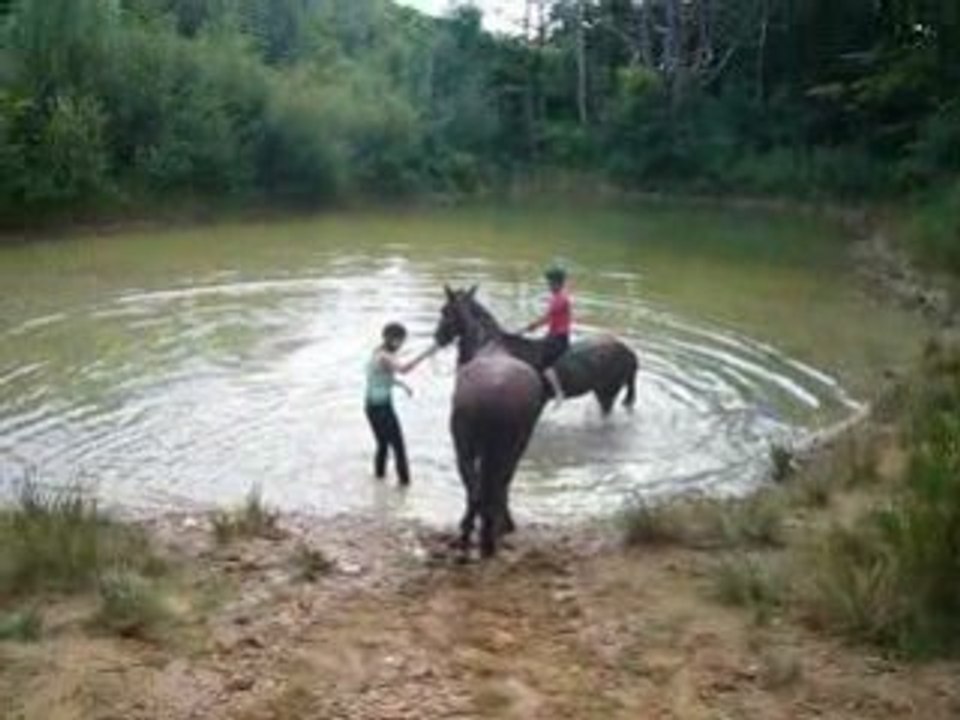 ouin et l'eau