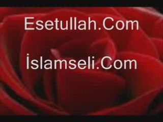 Ender tekin nerdesin gel