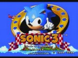 Sonic 3 - Angel Island Remix