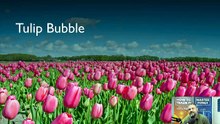 What is Trading A Beginners Guide_ Laying the Foundations for Success.