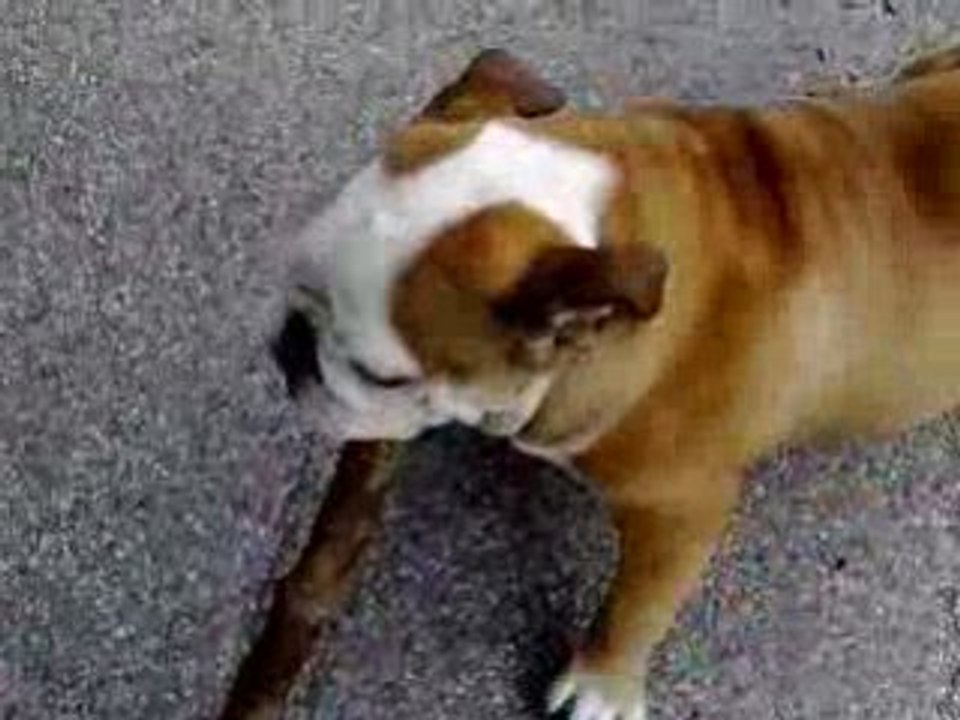 12062008049