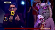 Chavana desea una reconciliación entre Burrita y Turbulence