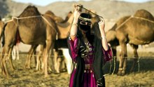قصة وقصيدة بدوية من قلب الصحراء السعودية 🏜️