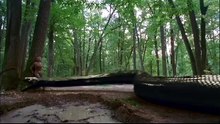 Anaconda 3: Offspring - Trailer